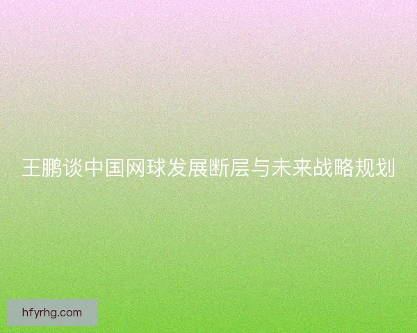 王鹏谈中国网球发展断层与未来战略规划