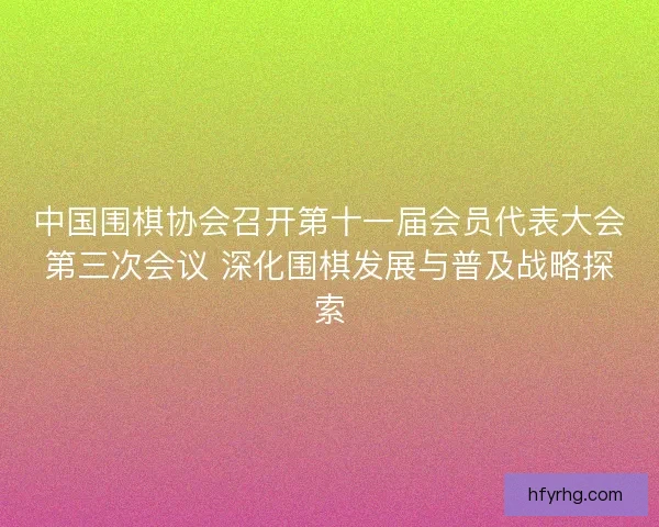中国围棋协会召开第十一届会员代表大会第三次会议 深化围棋发展与普及战略探索 中国围棋协会召开第十一届会员代表大会第三次会议 深化围棋发展与普及战略探索